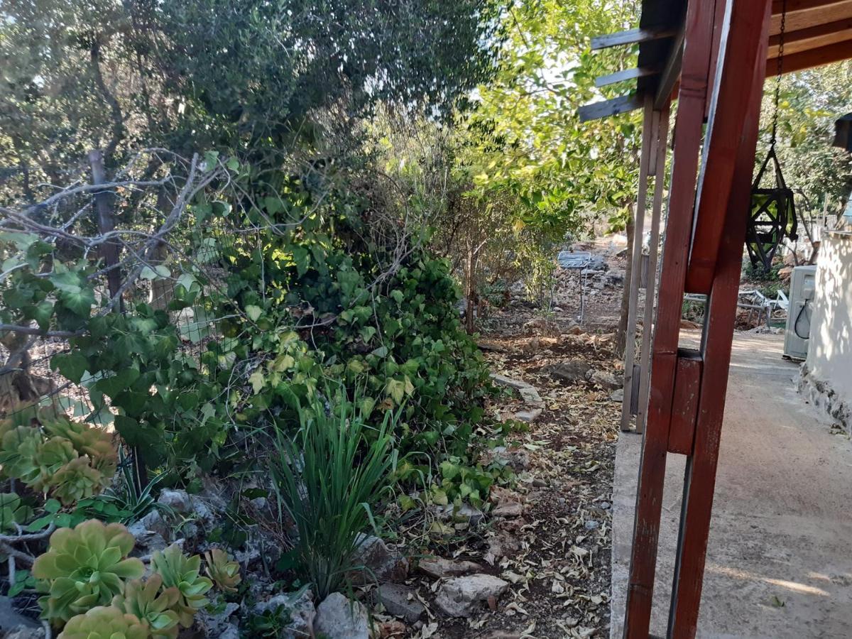 בקתת עץ בחורש במנות - דום גיאודזי - Wooden Cabin In Manot Zewnętrze zdjęcie