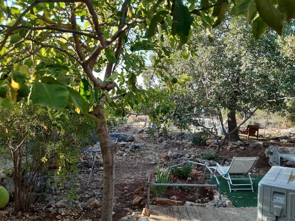 בקתת עץ בחורש במנות - דום גיאודזי - Wooden Cabin In Manot Zewnętrze zdjęcie